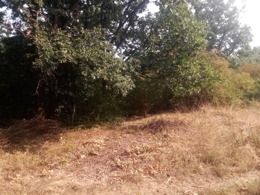 Slika 8 -  Plac na prodaju, Kosmaj, 26.400€